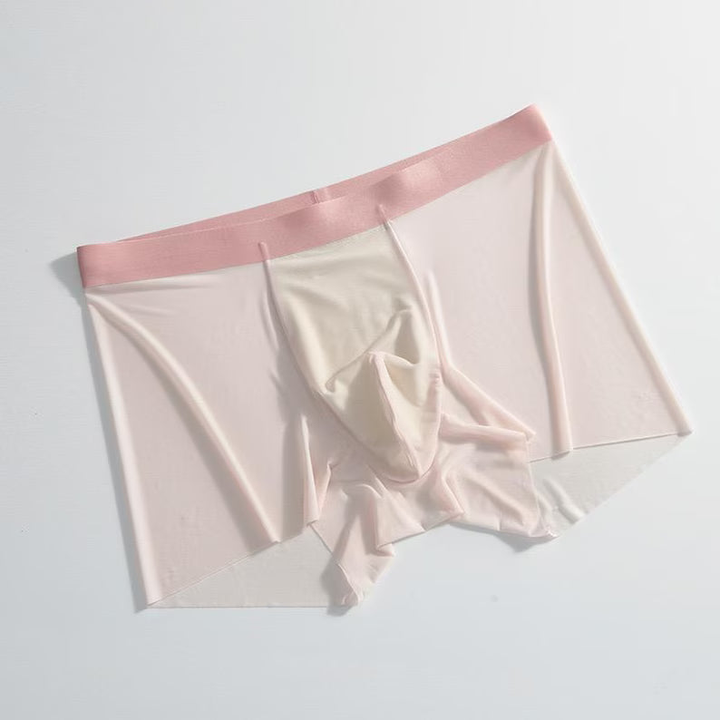 Men Sheer See Through Boxer Breathable Excotic Underwear