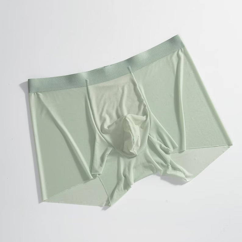 Men Sheer See Through Boxer Breathable Excotic Underwear